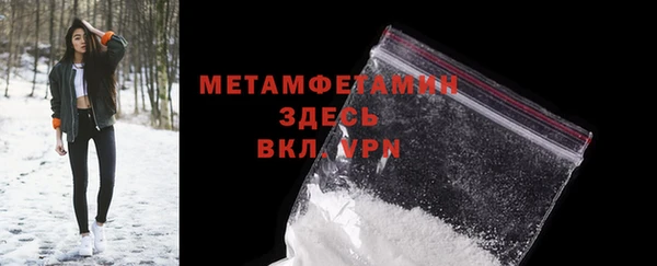 ПСИЛОЦИБИНОВЫЕ ГРИБЫ Богданович