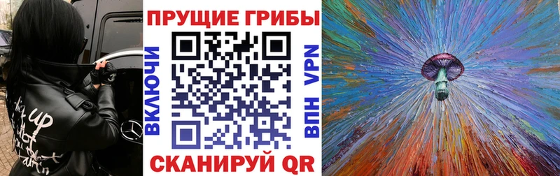 Галлюциногенные грибы мицелий  Новороссийск 